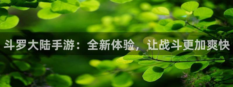 斗罗大陆手游：全新体验，让战斗更加爽快