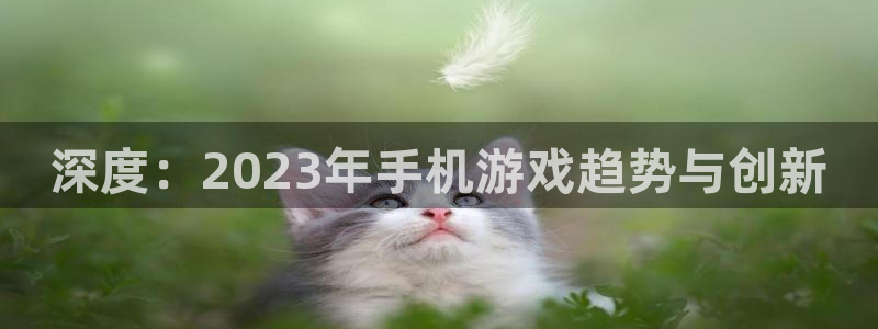 尊龙会官网首页登录入口：深度：2023年手机游戏趋势与创新